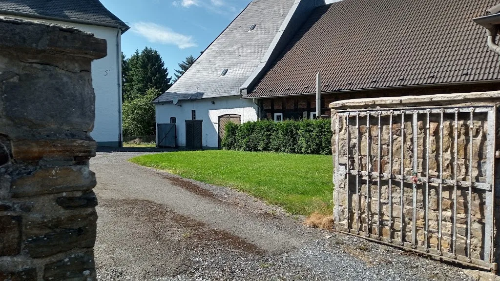 Zucht-, Aufzucht- und Pensionsbetrieb Gut Rumbeck - Foto 1