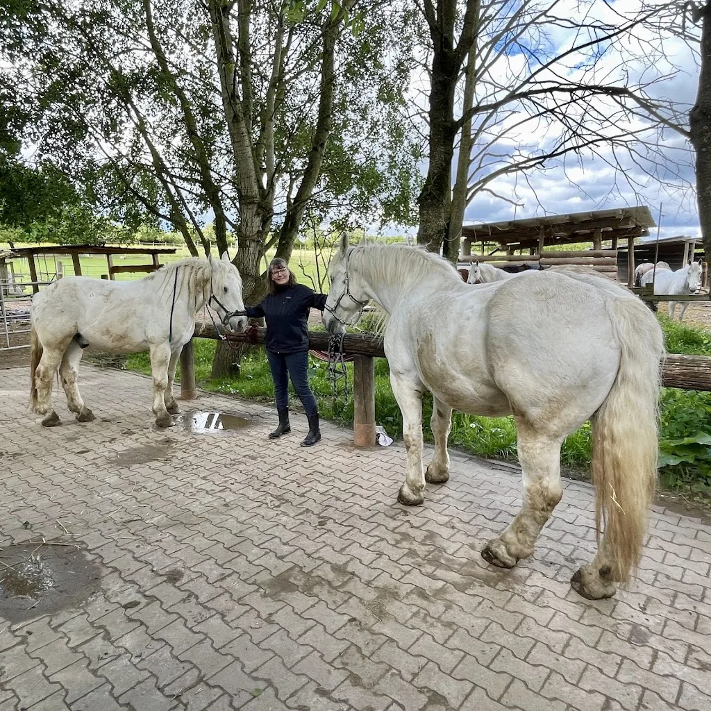 Hubertus Hof – Hubert und Petra Gläser - Foto 2