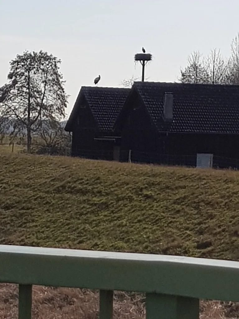Stall Rutenhof - photo 3