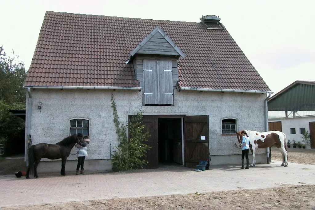 Reiterhof Hamp - Foto 1
