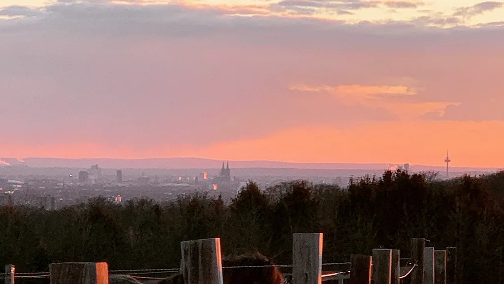 Islandpferde vom Domblick - Foto 1