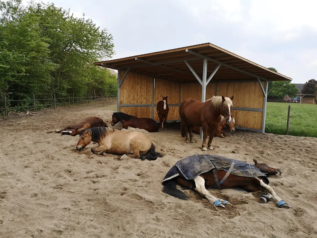 Schlungshof - Foto 1