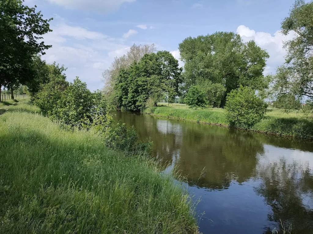Gestüt zum Hahnhof - Foto 2