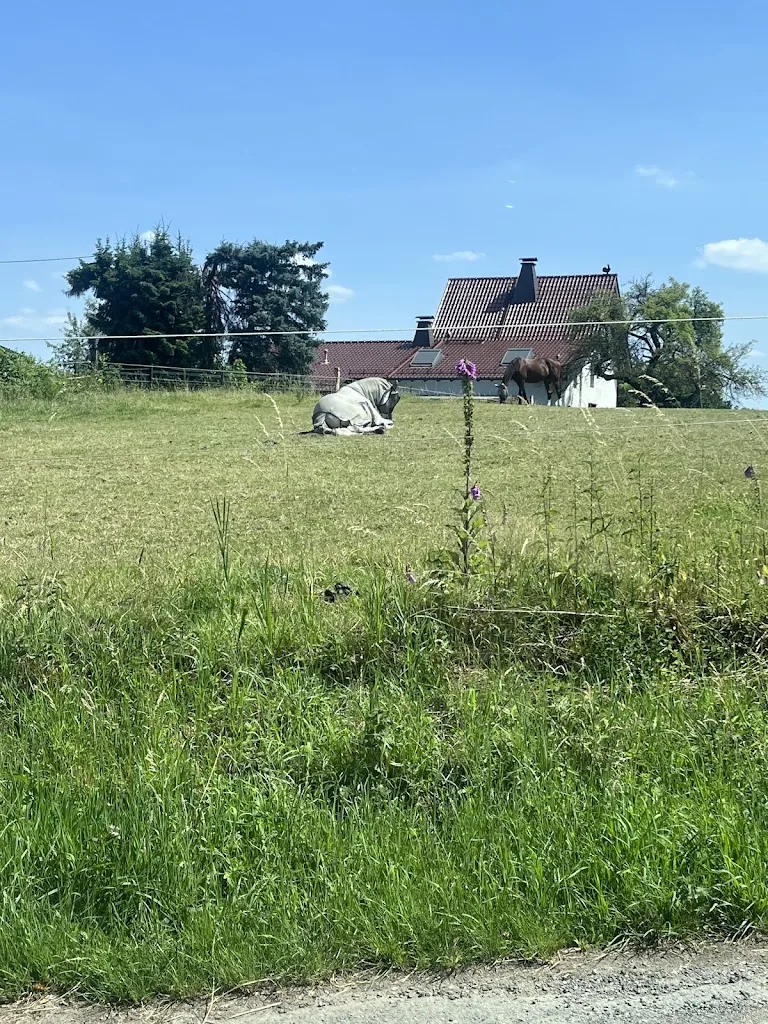 Pferdehof Heimann - Foto 1