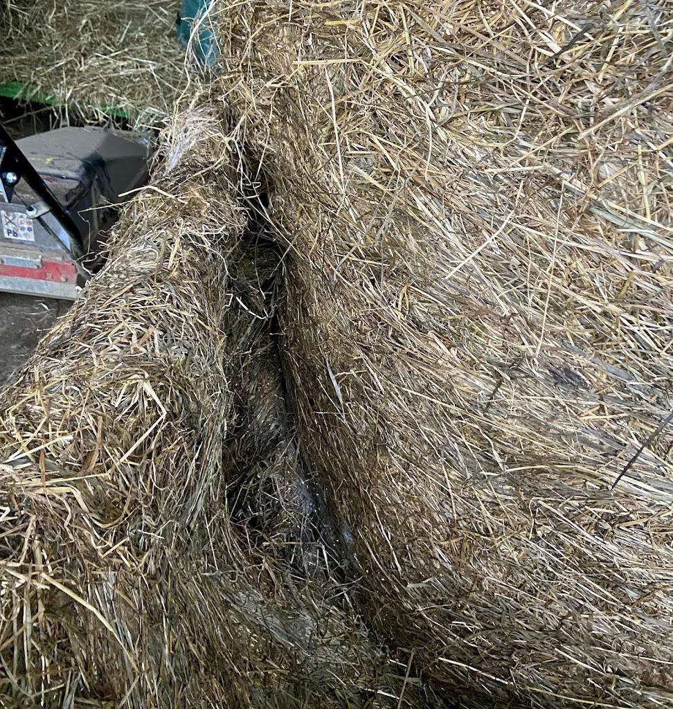 Pferdehof Heimann - Foto 2