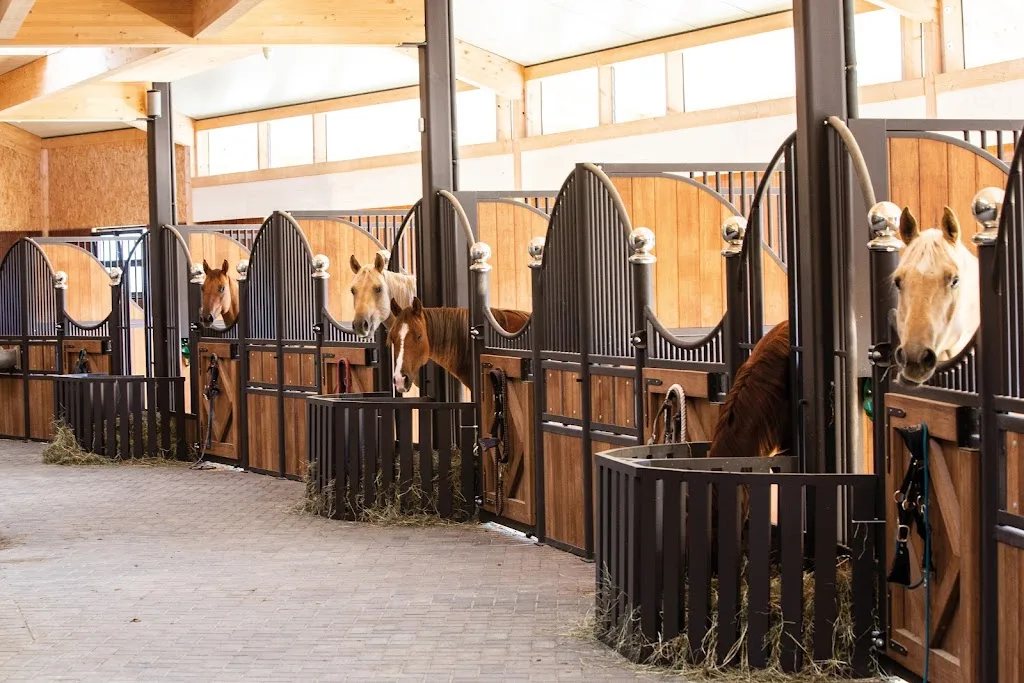 Nonn Ranch - photo 3
