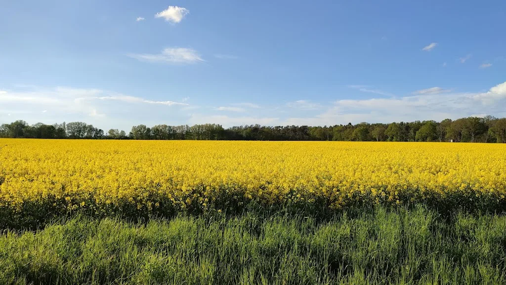 eichenhof burgdorf - Foto 1