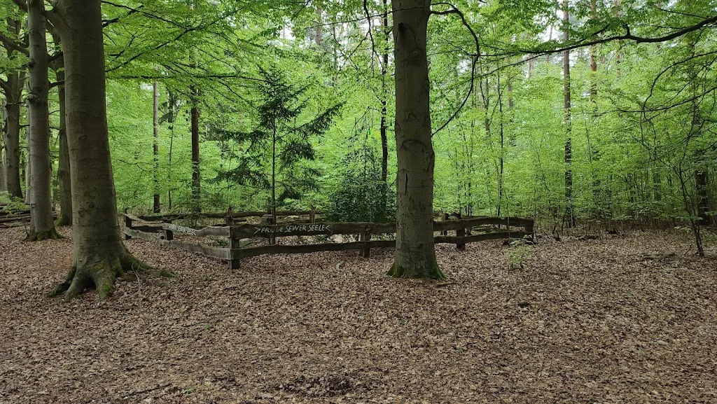 eichenhof burgdorf - Foto 2