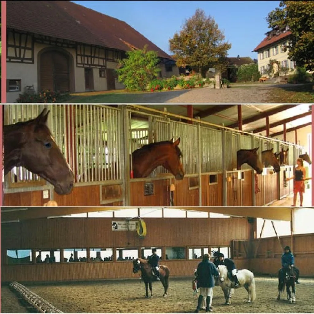 Pferdehof-Jehle GbR inkl. Lohnunternehmen - Foto 2