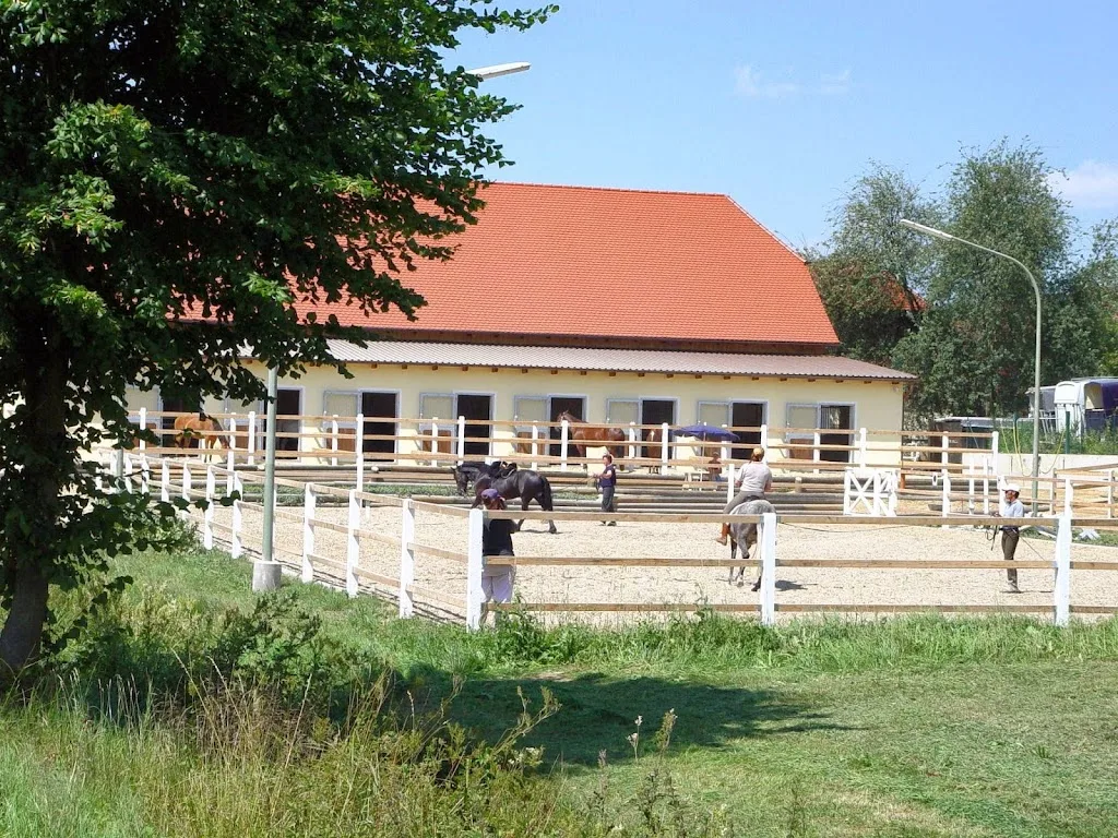 WIDUM ausgesuchte PREs und Lusitanos in Bayern - photo 1