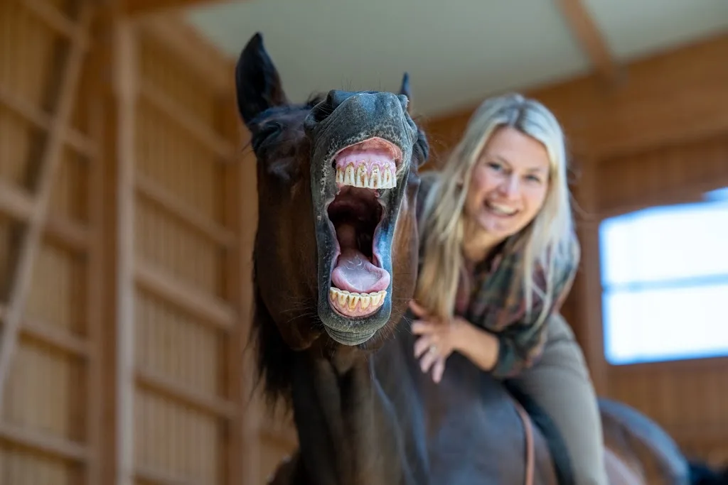 WIDUM ausgesuchte PREs und Lusitanos in Bayern - photo 2