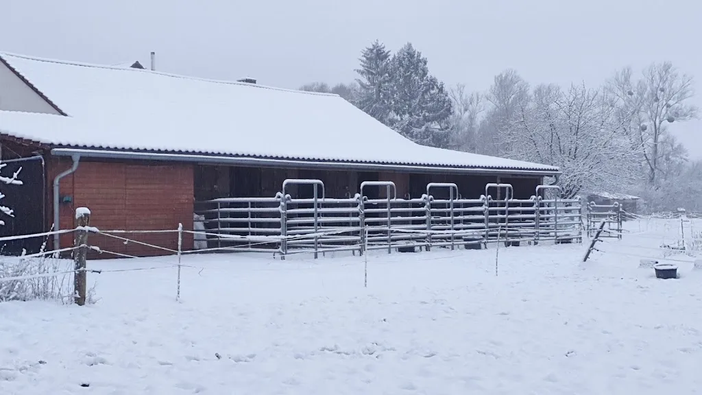 Pferdehof Scharf - Foto 1