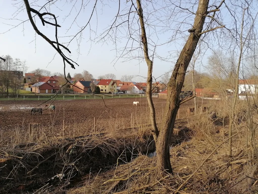 Pferdehof Scharf - Foto 2