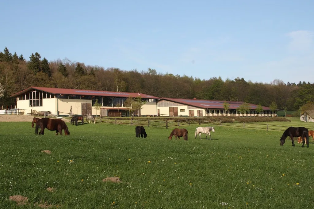 Reitanlage Tegelhof Rügen - Foto 2