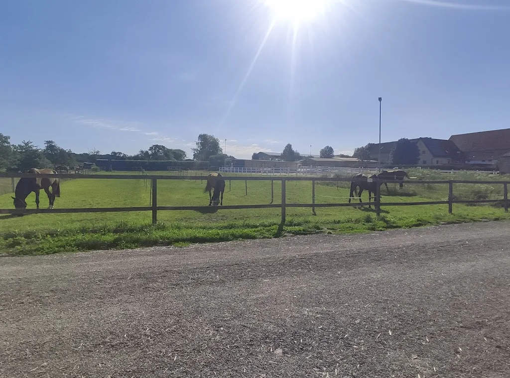 Reitstall Eck - Foto 1