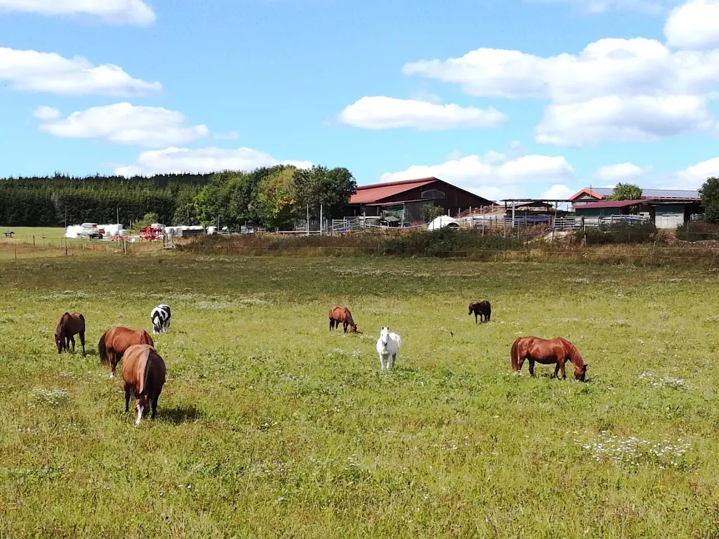 Middle Mountain Ranch - photo 1