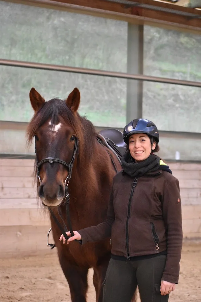 Reitstall zur Schäferei - Jenny Weidert-Dal - Foto 2