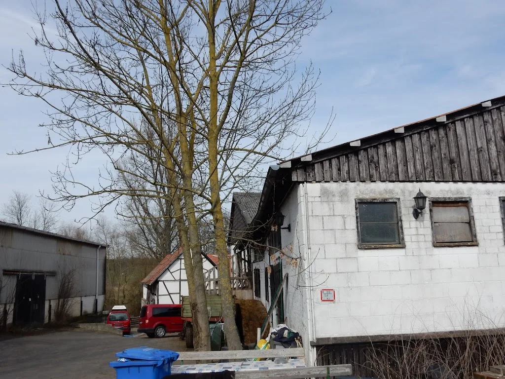 Reitsportanlage Bingenheimer Mühle - photo 1