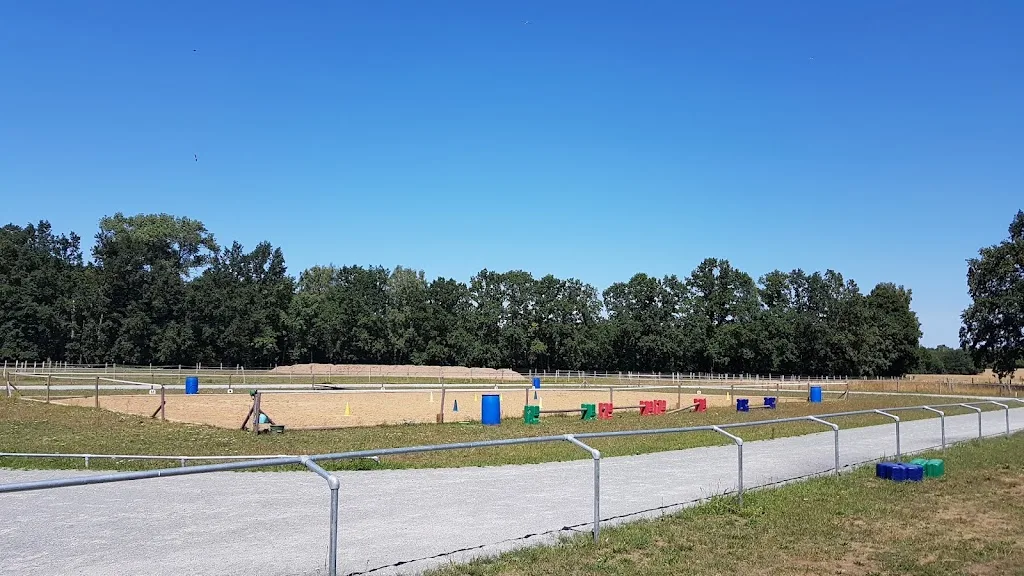 Pritzwalker Islandpferdegestüt Hainholzmühle - Foto 1