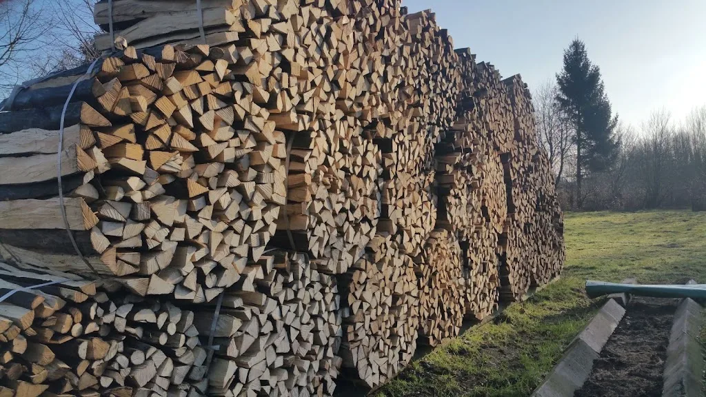 Pritzwalker Islandpferdegestüt Hainholzmühle - Foto 2