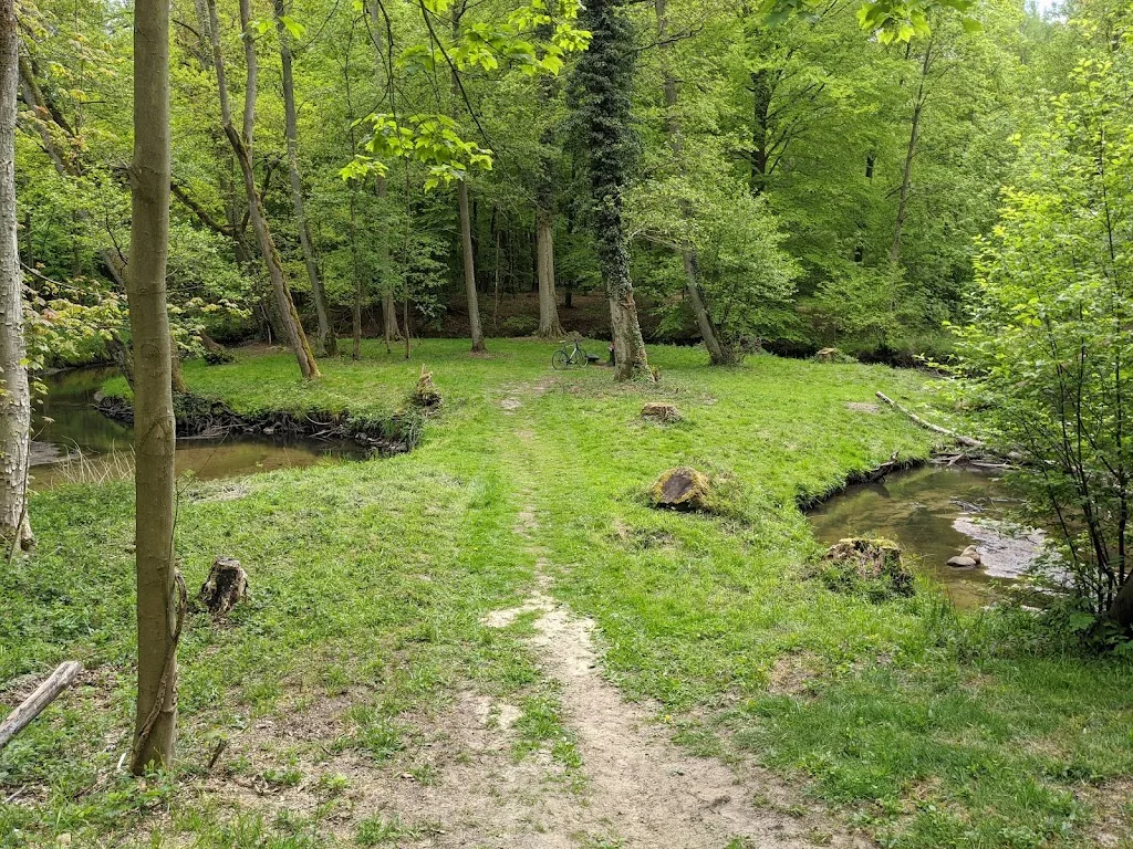 Pritzwalker Islandpferdegestüt Hainholzmühle - Foto 3