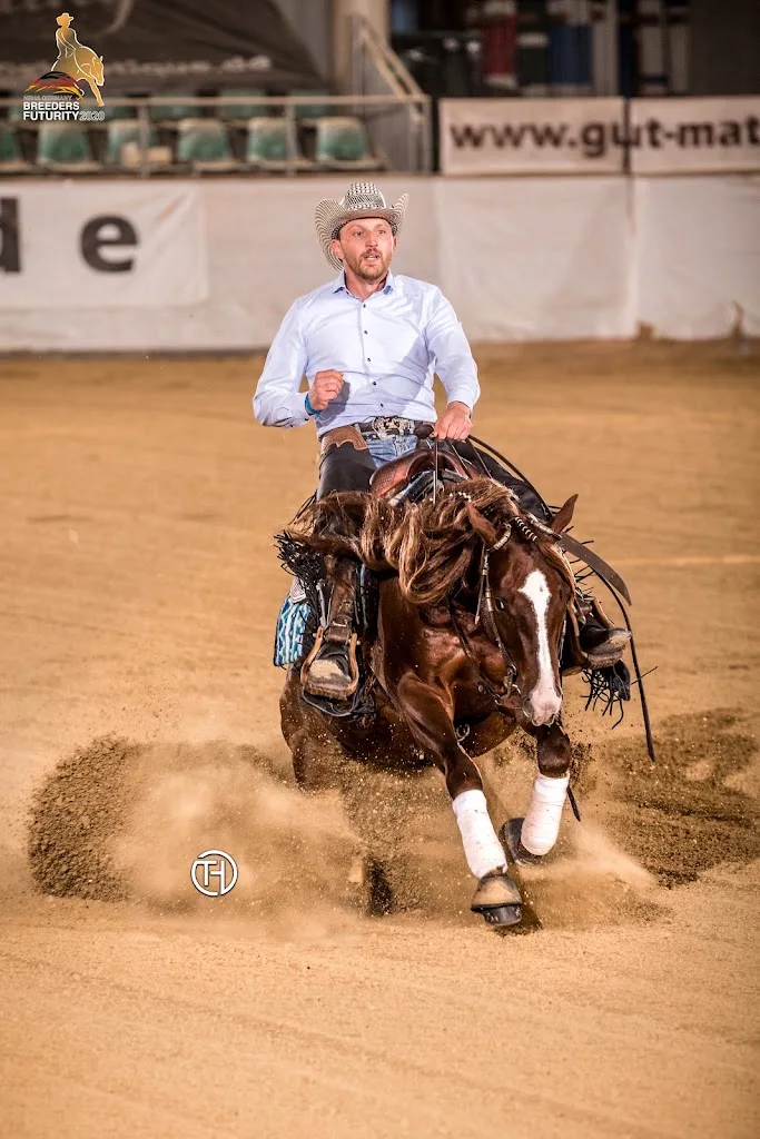 Elta Reining Horses - Anke Waizenegger-Merkt - Foto 2