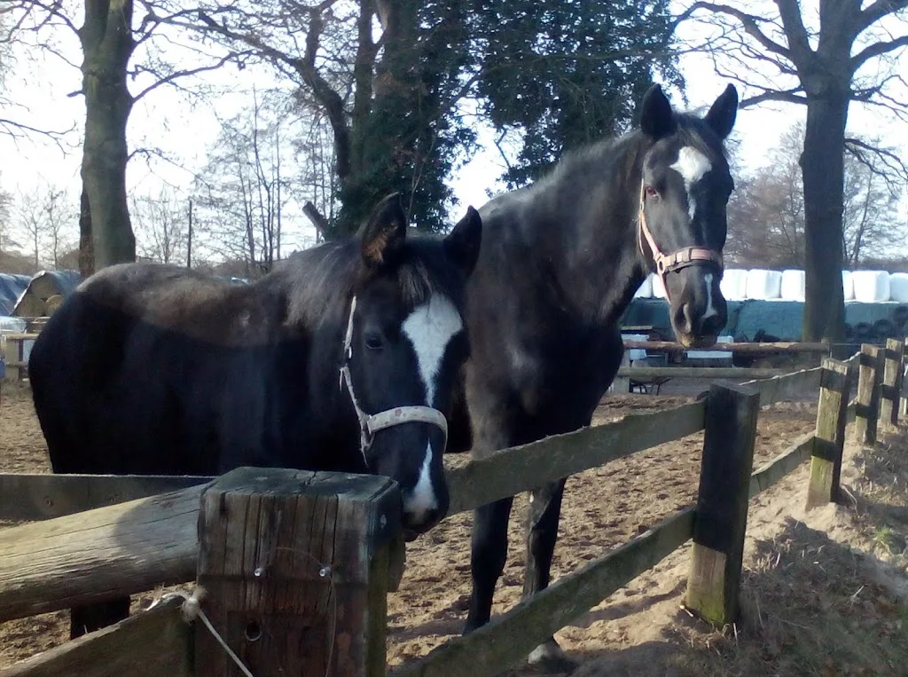 Marlies und Ludger Wessendorf - photo 1