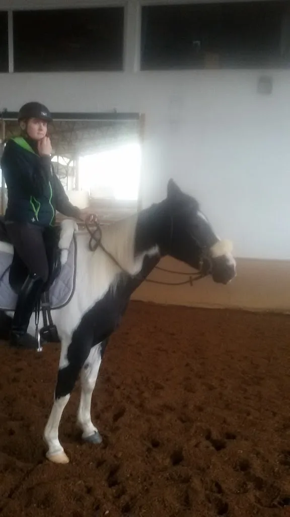 Reitanlage Koch - Foto 3