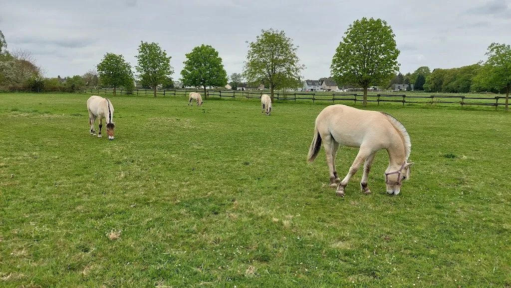 Reitanlage Gut Bärbroich - Foto 1