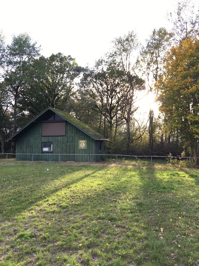 Reitanlage Gutscheiderhof - Foto 1