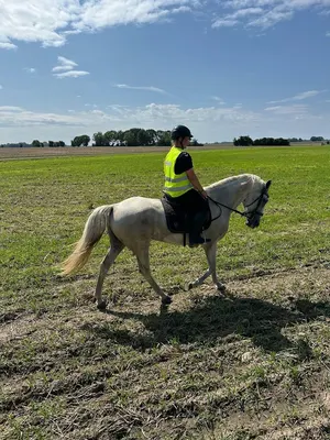 Wanderreiten auf Rügen