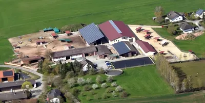 Ponyhof Prall