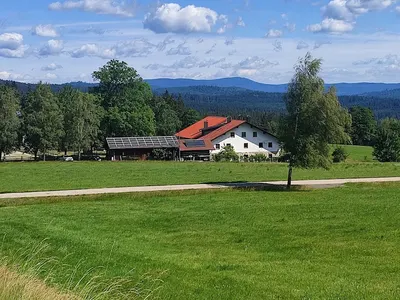 Islandpferdehof Bärenfilz