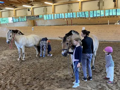 Repente, Ferienanlage, Reitschule, Tiergesundheitszentrum