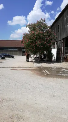 REITANLAGE OBERHAUNSTADT