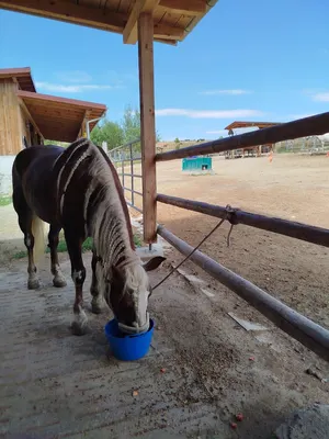 Foierl Ranch