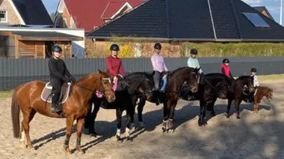 Reitschule Ute Limbach
