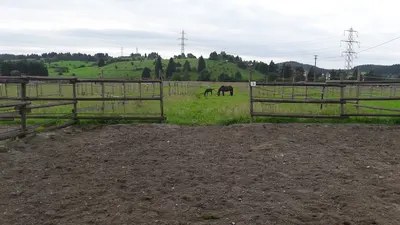 Reitanlage Brühlwiesen