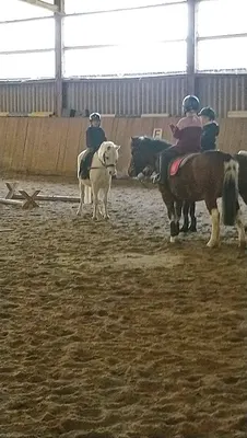 Reitsportanlage am Selter