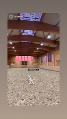 Forest Stable - pferdegestützte Therapie