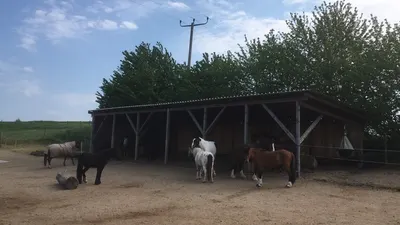 Crazy-Riders-Ranch