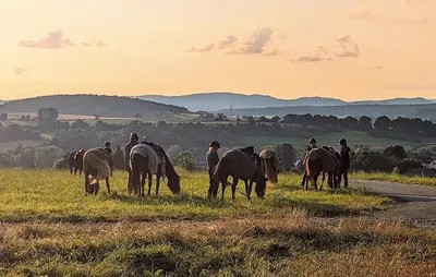 Burgwald zu Pferd