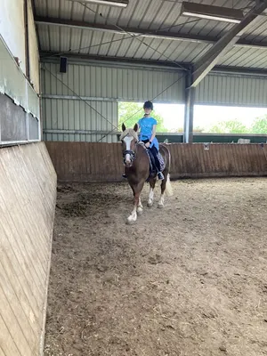 KJ Ranch