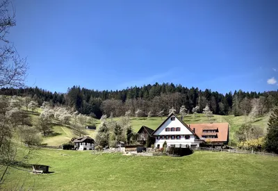 Reiterhof Horberlehof - Desiree Fahrner