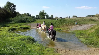 Reitbetrieb Froelich