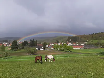 Pferdepension Leitzbacherhof