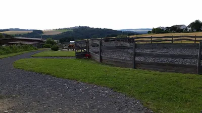 Hengst- & Deckstation Steinsberg
