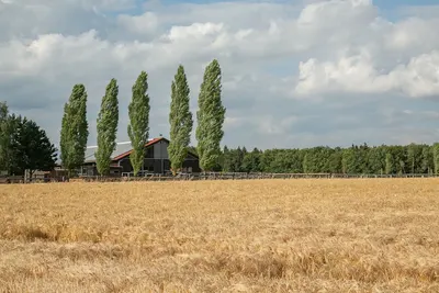 Reitanlage Konstein