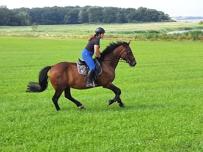Reitanlage Kajahn