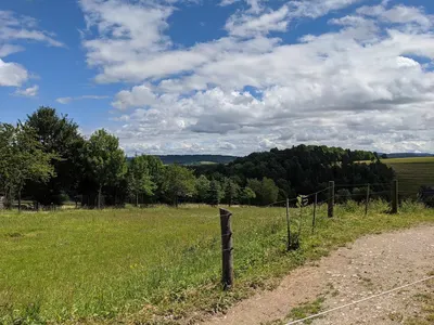 Islandpferdehof Wenthof